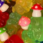 How Amanita Muscaria Gummies Are Revolutionizing Wellness