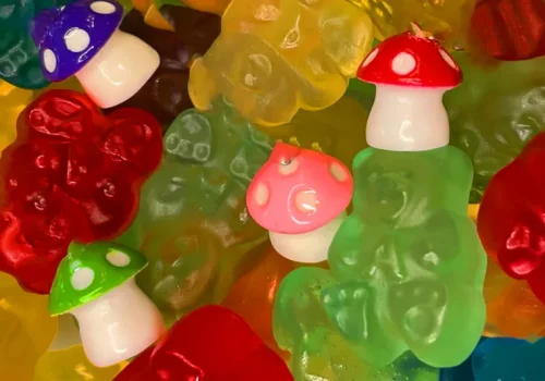 How Amanita Muscaria Gummies Are Revolutionizing Wellness