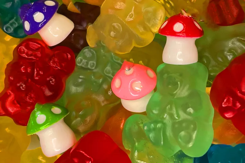 How Amanita Muscaria Gummies Are Revolutionizing Wellness